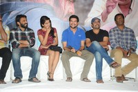 Rowdy Fellow Movie Success Meet